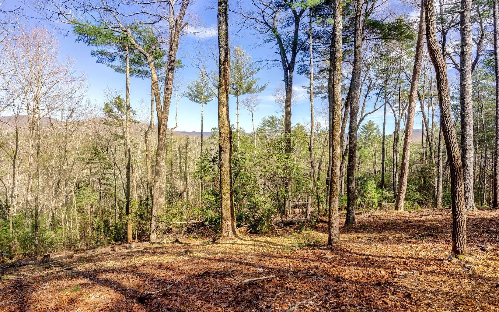 Acres In Gilmer County Georgia