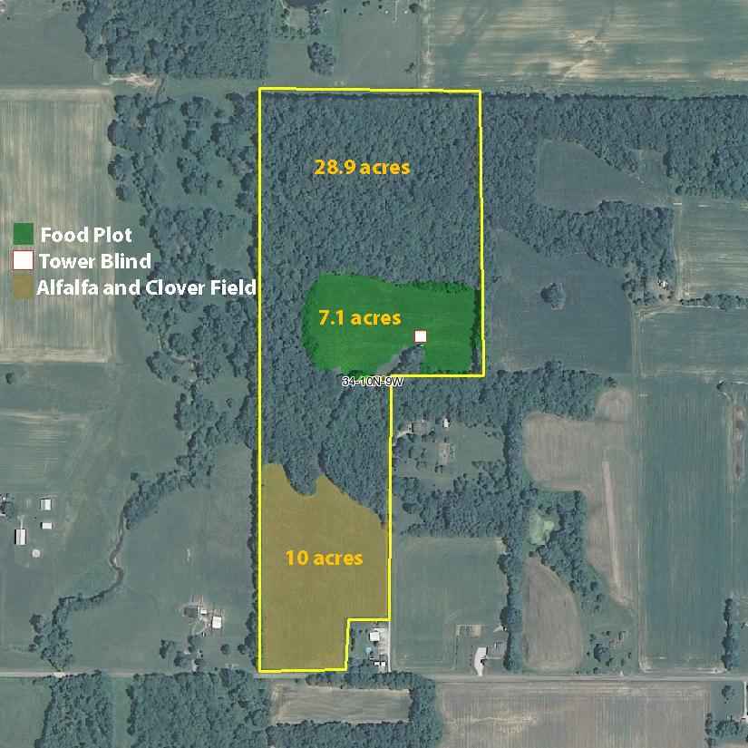 46 Acres Vigo County IN Illinois & Indiana Farm Real Estate