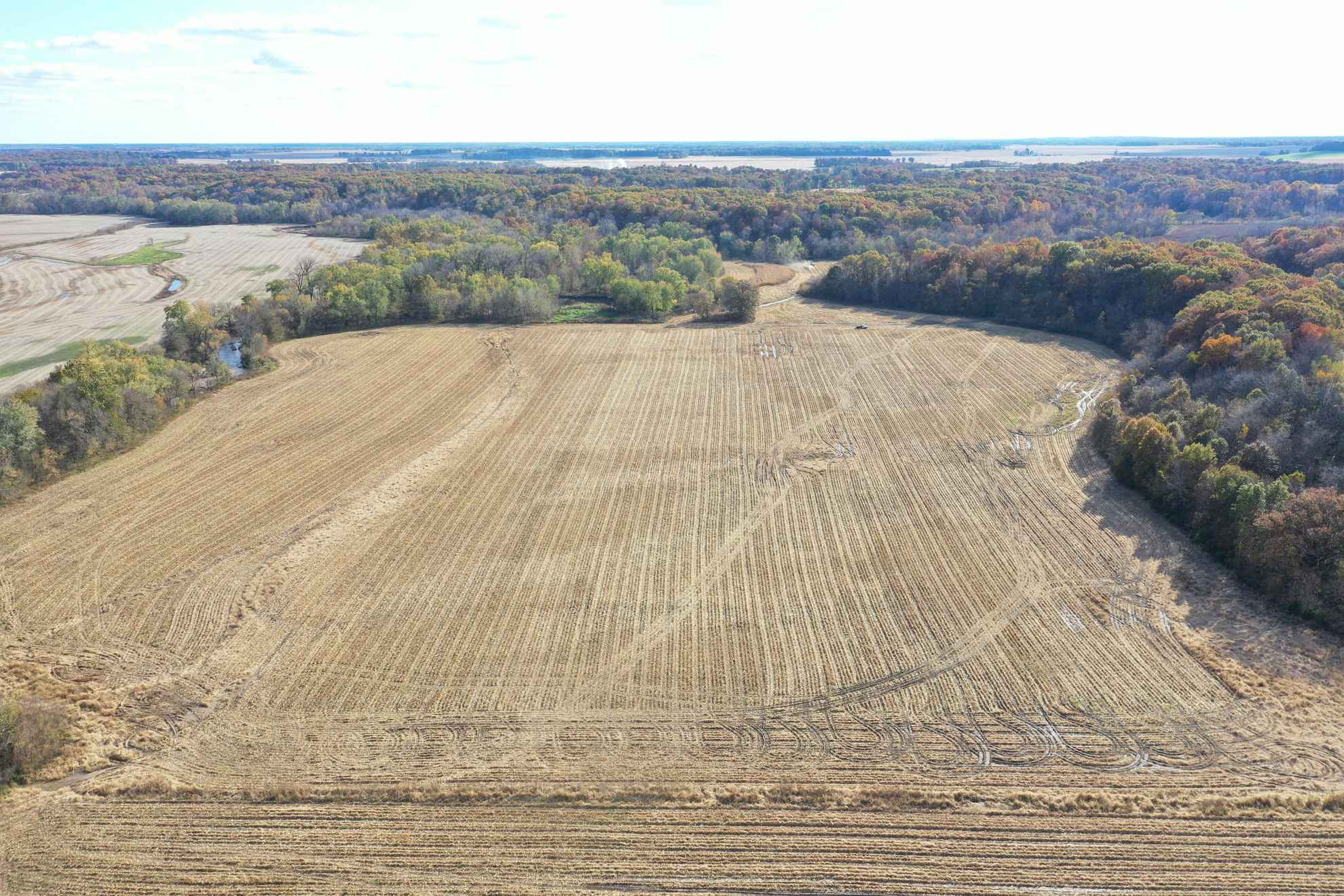 84 Acres, Becks Creek Farm, Fayette County IL Illinois & Indiana Farm