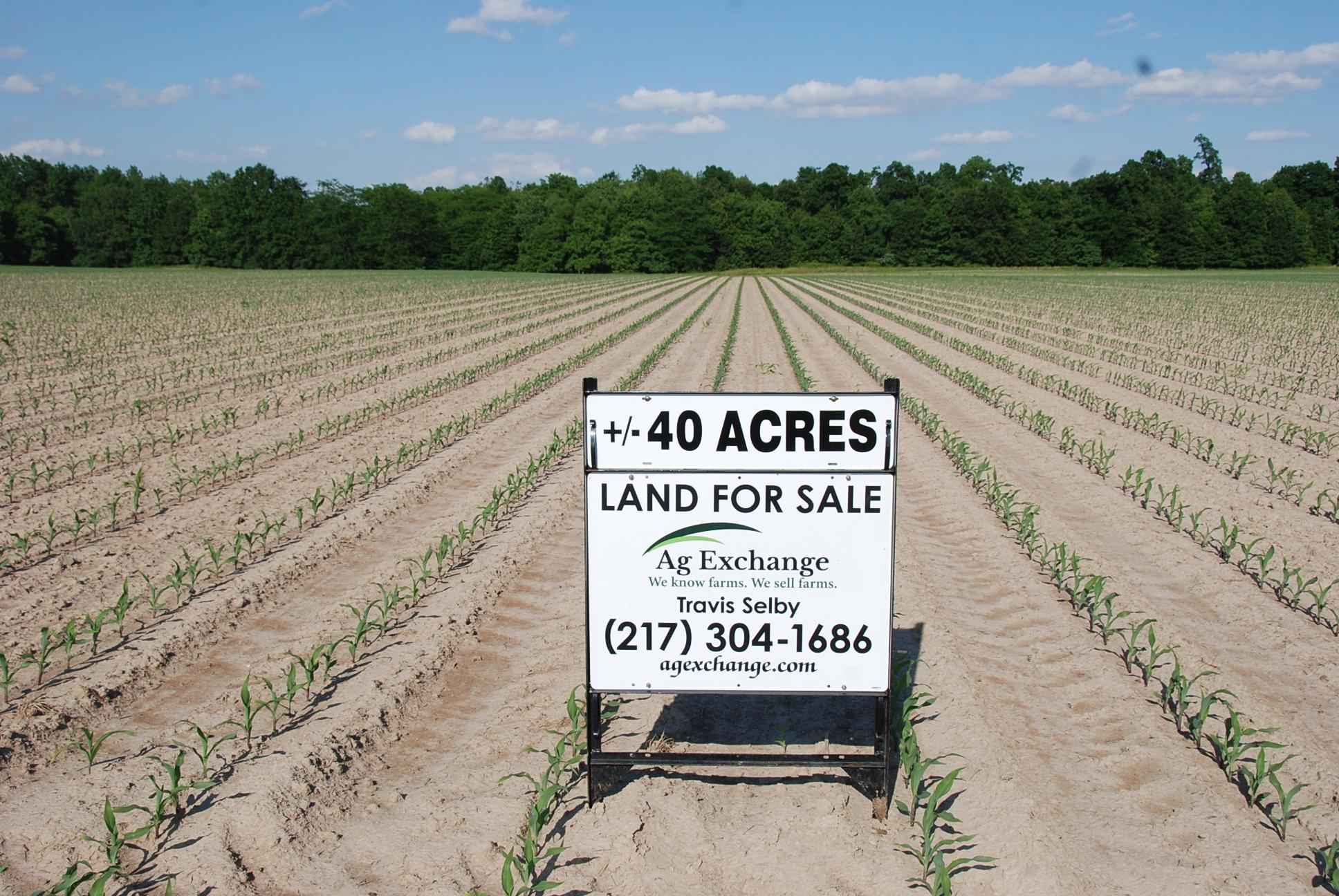 40 Acres Cumberland County, IL Illinois & Indiana Farm Real Estate