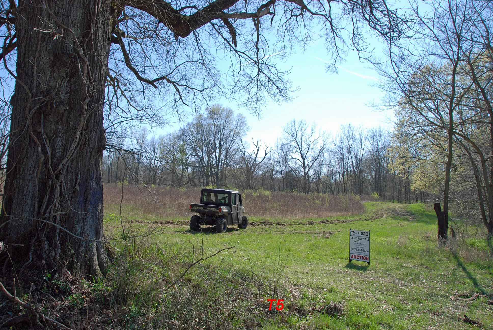 AUCTION, +/ 4 Acres, Elwood Twp. Vermilion County, IL Illinois