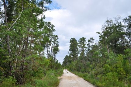 Property in Tyler County, Texas