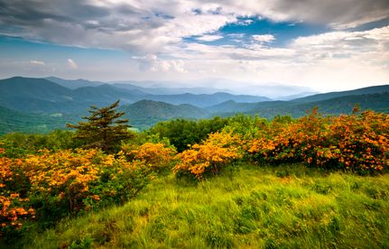 Property in Avery County, North Carolina