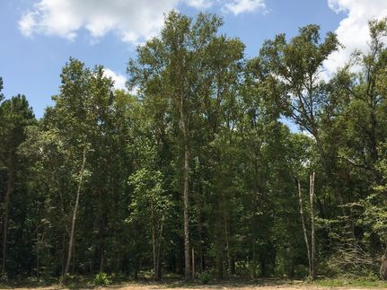 Property in San Jacinto County, Texas