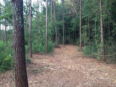 Property in Morgan County, Alabama