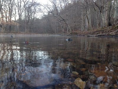 Property in Lauderdale County, Alabama