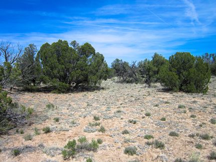 Property in Apache County, Arizona