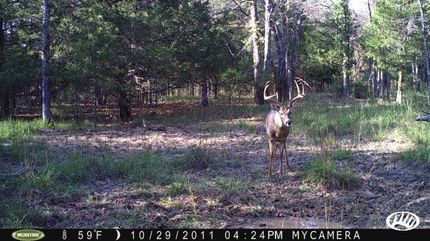 Property in Crawford County, Arkansas