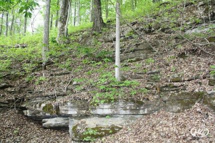 Property in Putnam County, Tennessee