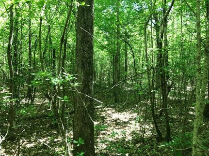 Property in Fayette County, Alabama