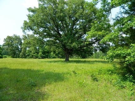 Property in Titus County, Texas