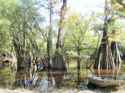 Property in Florence County, South Carolina