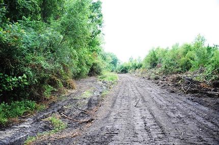 Property in Marlboro County, South Carolina