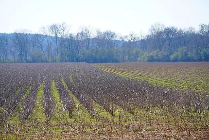 Property in Talladega County, Alabama