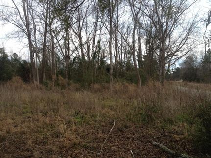 Property in Hampton County, South Carolina