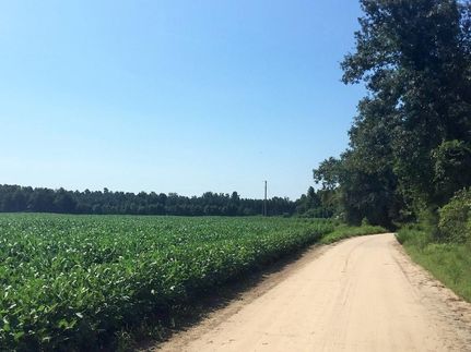 Property in Florence County, South Carolina