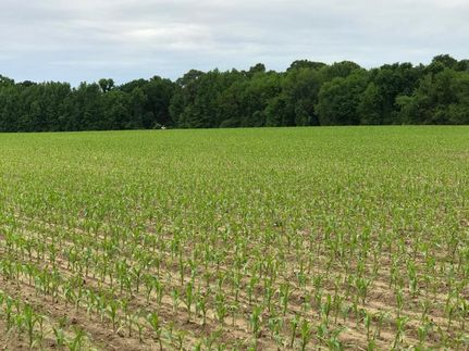 Property in Arkansas County, Arkansas