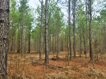 Property in Kershaw County, South Carolina