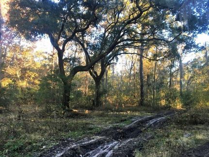 Property in Beaufort County, South Carolina