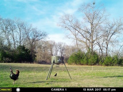 Property in Bryan County, Oklahoma