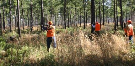 Property in Worth County, Georgia