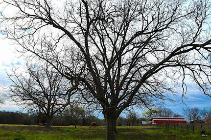 Property in Hopkins County, Texas