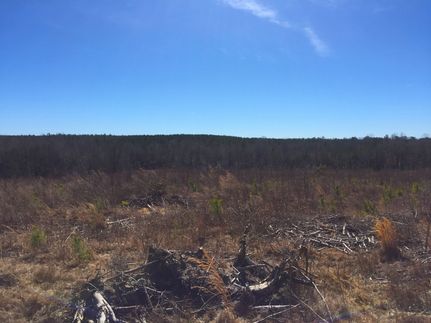 Property in Kershaw County, South Carolina