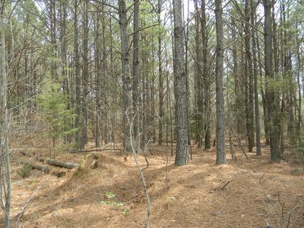 Property in Morgan County, Alabama