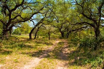 Property in Wilson County, Texas
