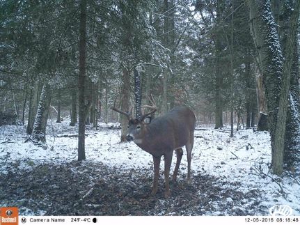 Property in Beltrami County, Minnesota