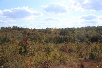 Property in Chilton County, Alabama