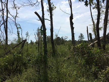 Property in Ashley County, Arkansas