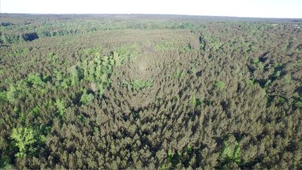 Property in Montgomery County, North Carolina