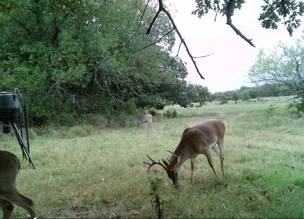 Property in Coal County, Oklahoma