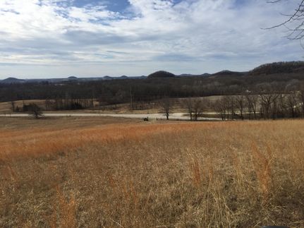 Property in Pike County, Missouri