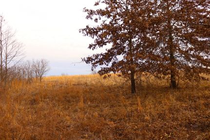 Property in Johnson County, Missouri