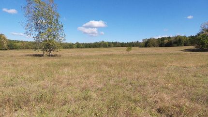 Property in Lowndes County, Alabama