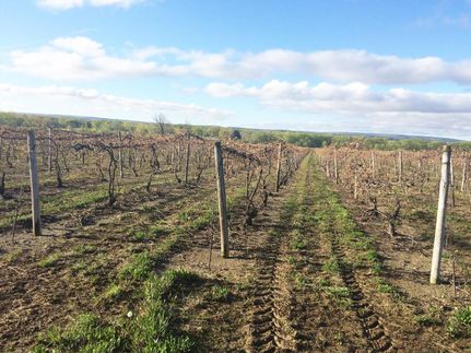 Property in Chautauqua County, New York