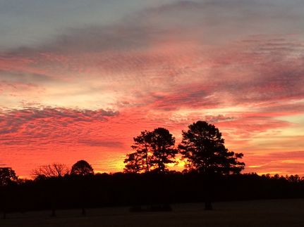 Property in Anderson County, Texas