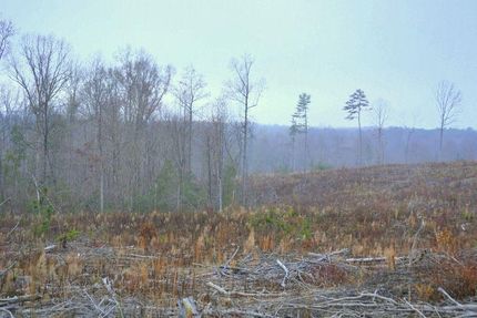 Property in Montgomery County, North Carolina