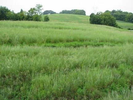 Property in Blount County, Tennessee