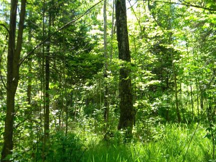 Property in Houghton County, Michigan