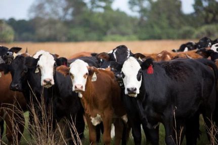 Property in Saint Lucie County, Florida