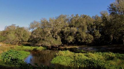 Property in Polk County, Florida