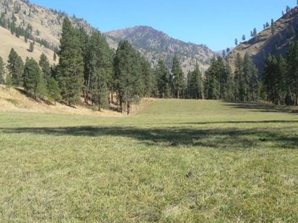 Property in Idaho County, Idaho