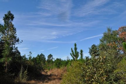 Property in Jasper County, Texas