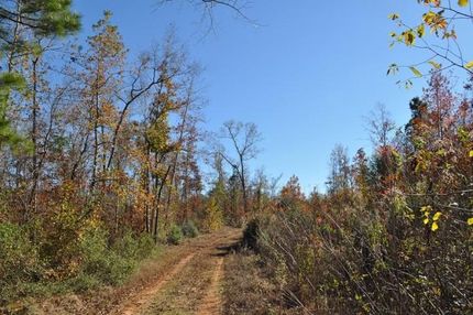 Property in Shelby County, Texas