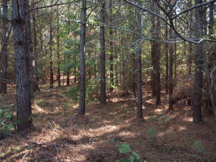 Property in Madison County, Mississippi