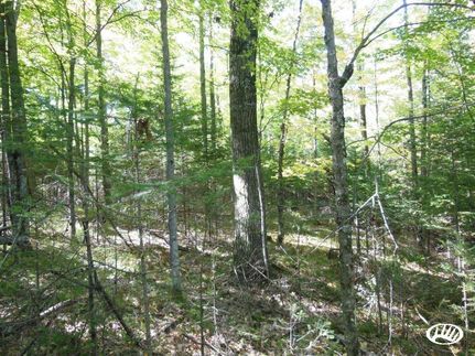 Property in Marathon County, Wisconsin