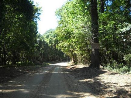 Property in Warren County, Mississippi